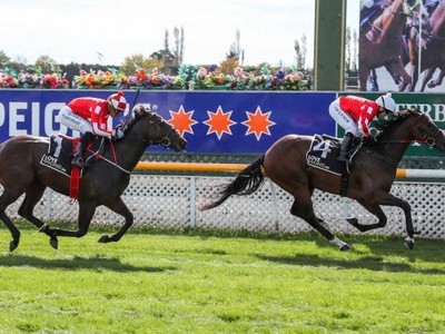 Prepared for New Zealand Cup Carnival: Pitman Team Image 1